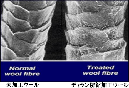 ディラン防縮加工前と後の比較