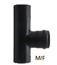 T管M/F