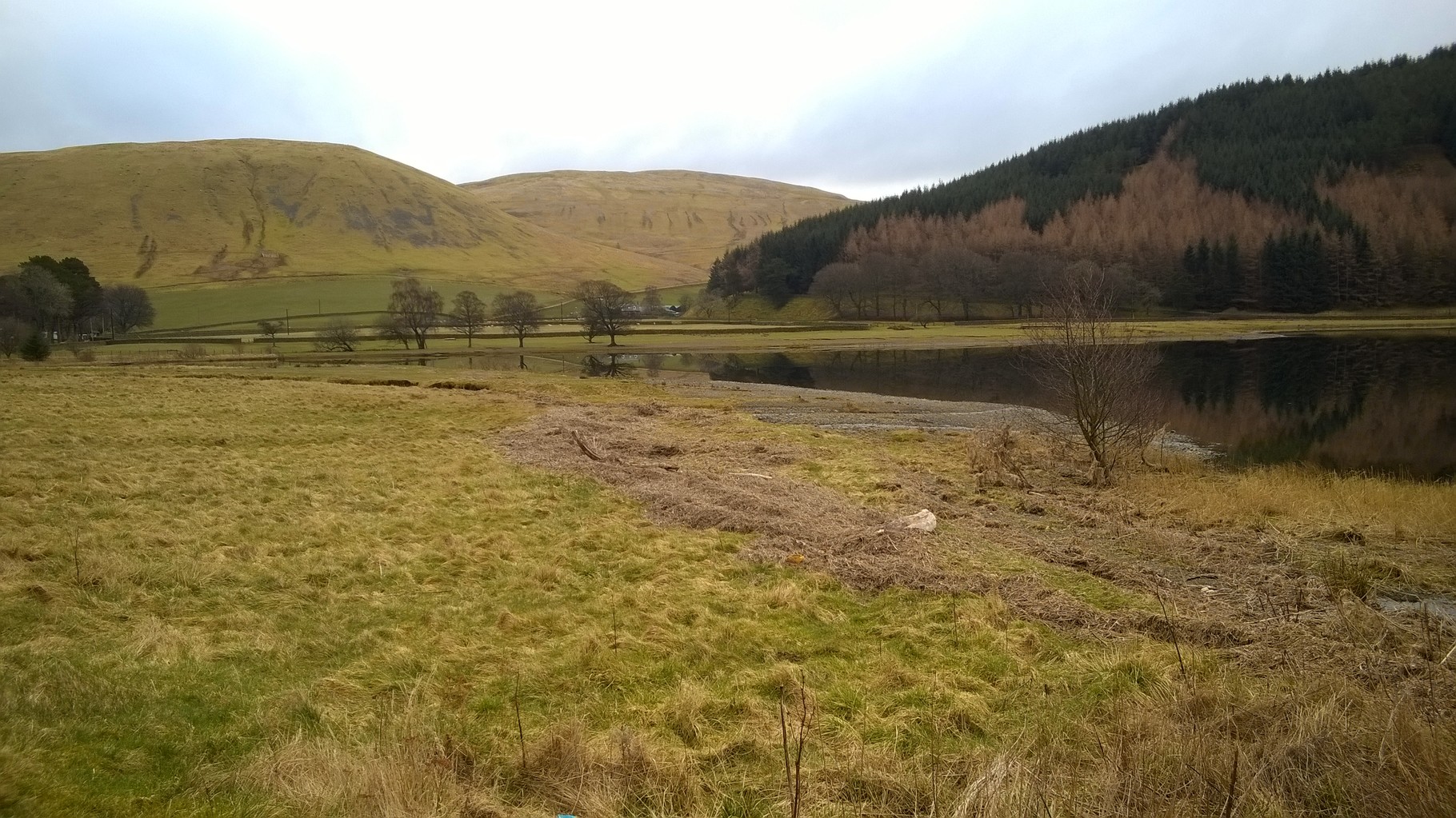 View down St Mary's Loch