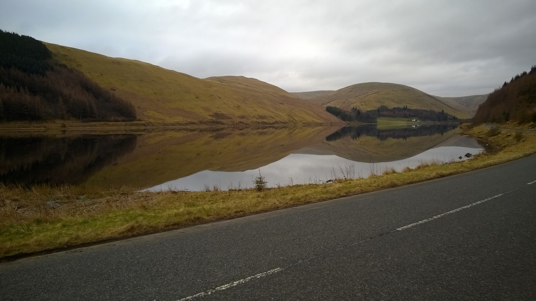 Looking up St Mary's Loch