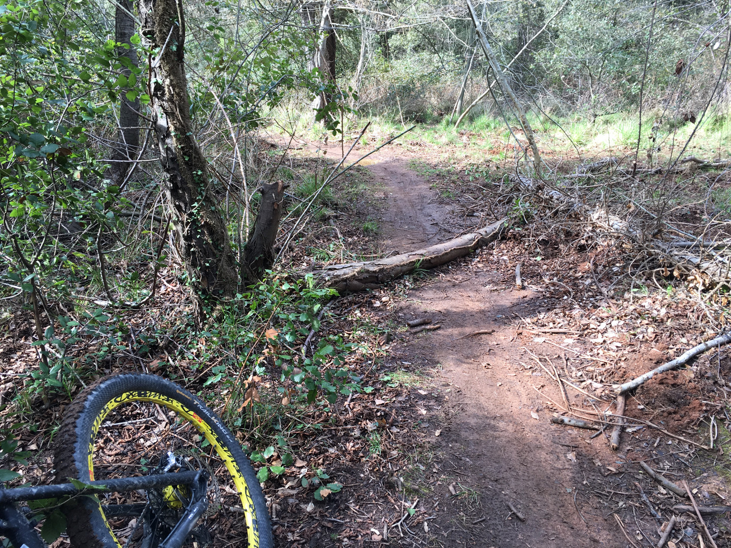 Obstacles on the way