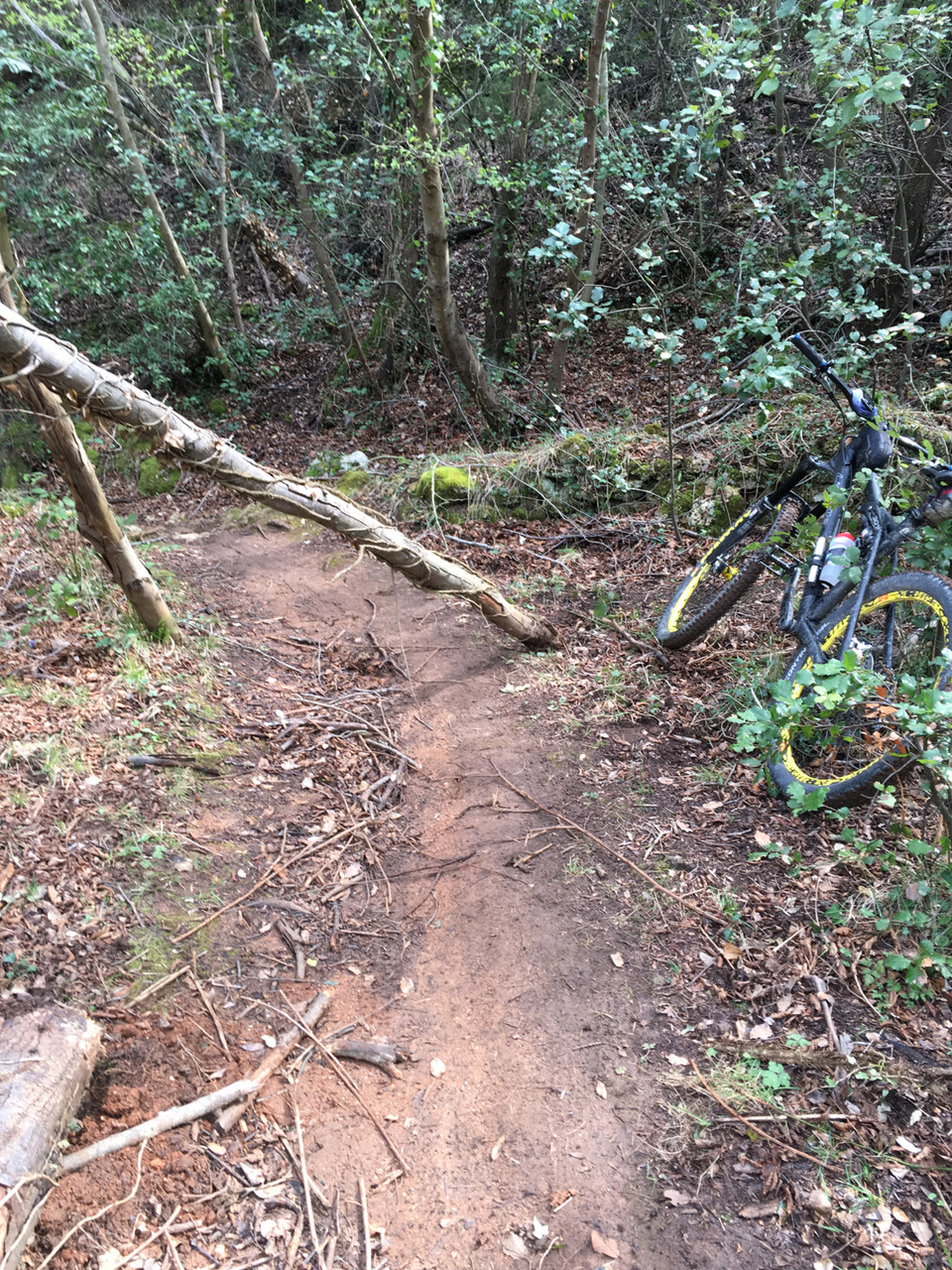 More obstacles... and...