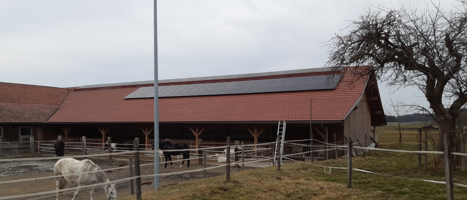 PV in der Landwirtschaft Montage ostseitig