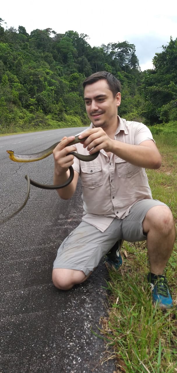 Avec une inoffensive couleuvre (Phrynonax poecilonotus) en Guyane, 2021.
