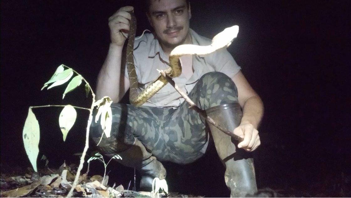 Avec le plus grand serpent venimeux avec lequel j'ai travaillé : Bothrops atrox, env. 1,30m, Guyane 2021.