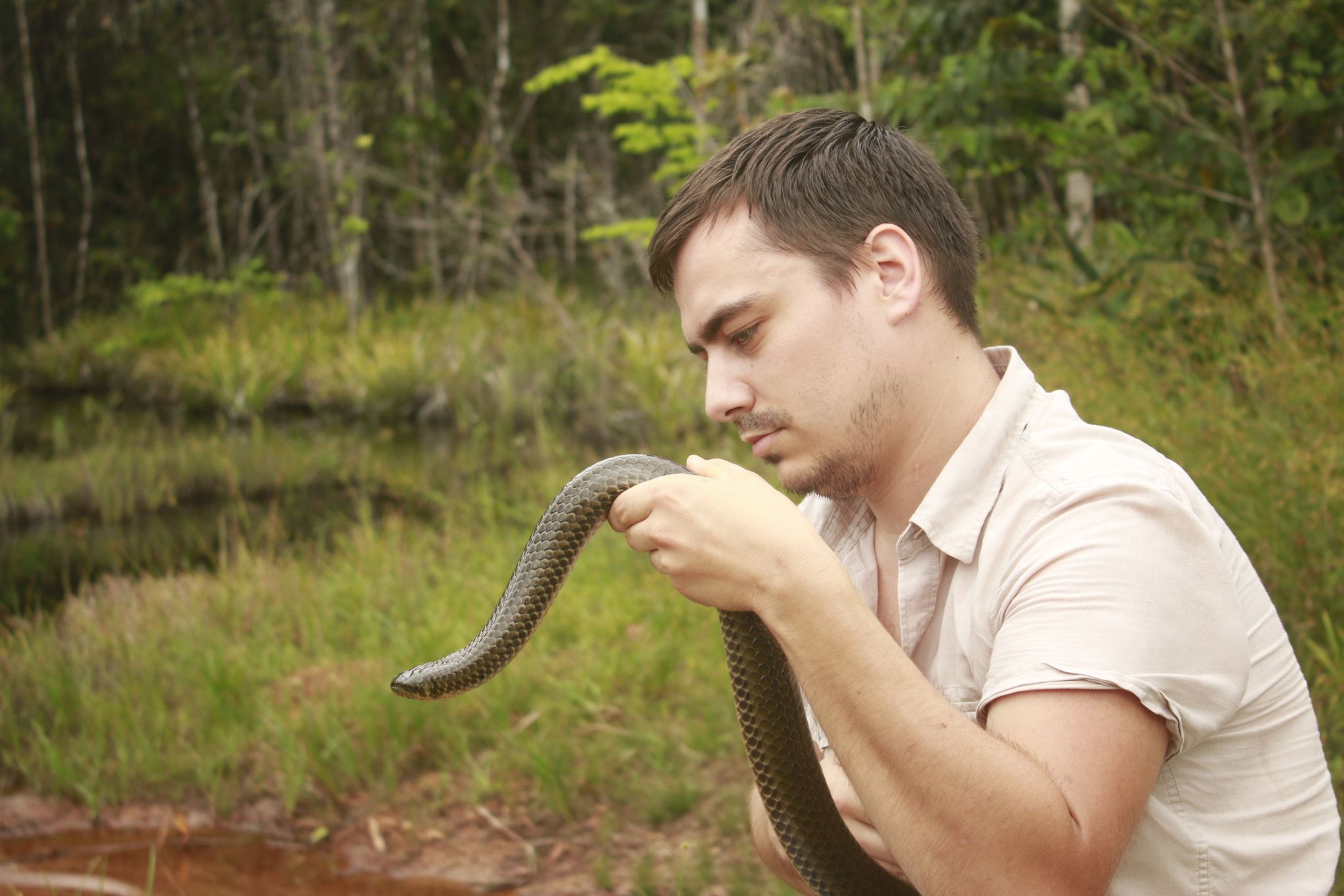 Avec une puissante couleuvre aquatique guyanaise du nom de Pseudoeryx plicatilis, 2021.