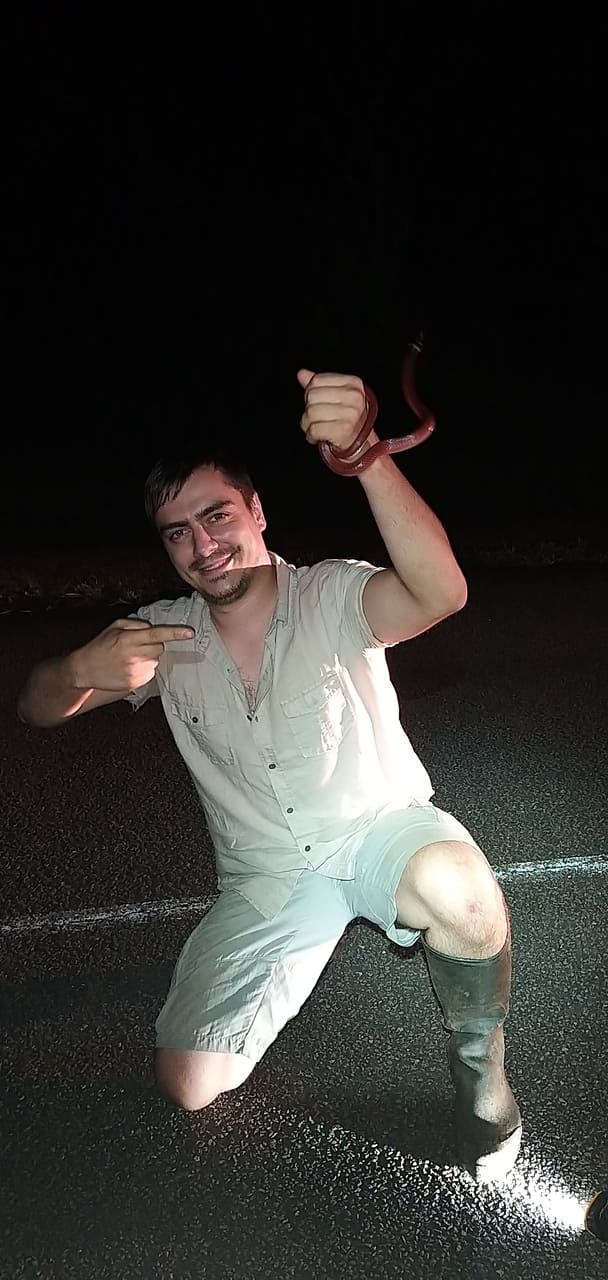 Avec un splendide petit Pseudoboa coronata, Guyane 2021.