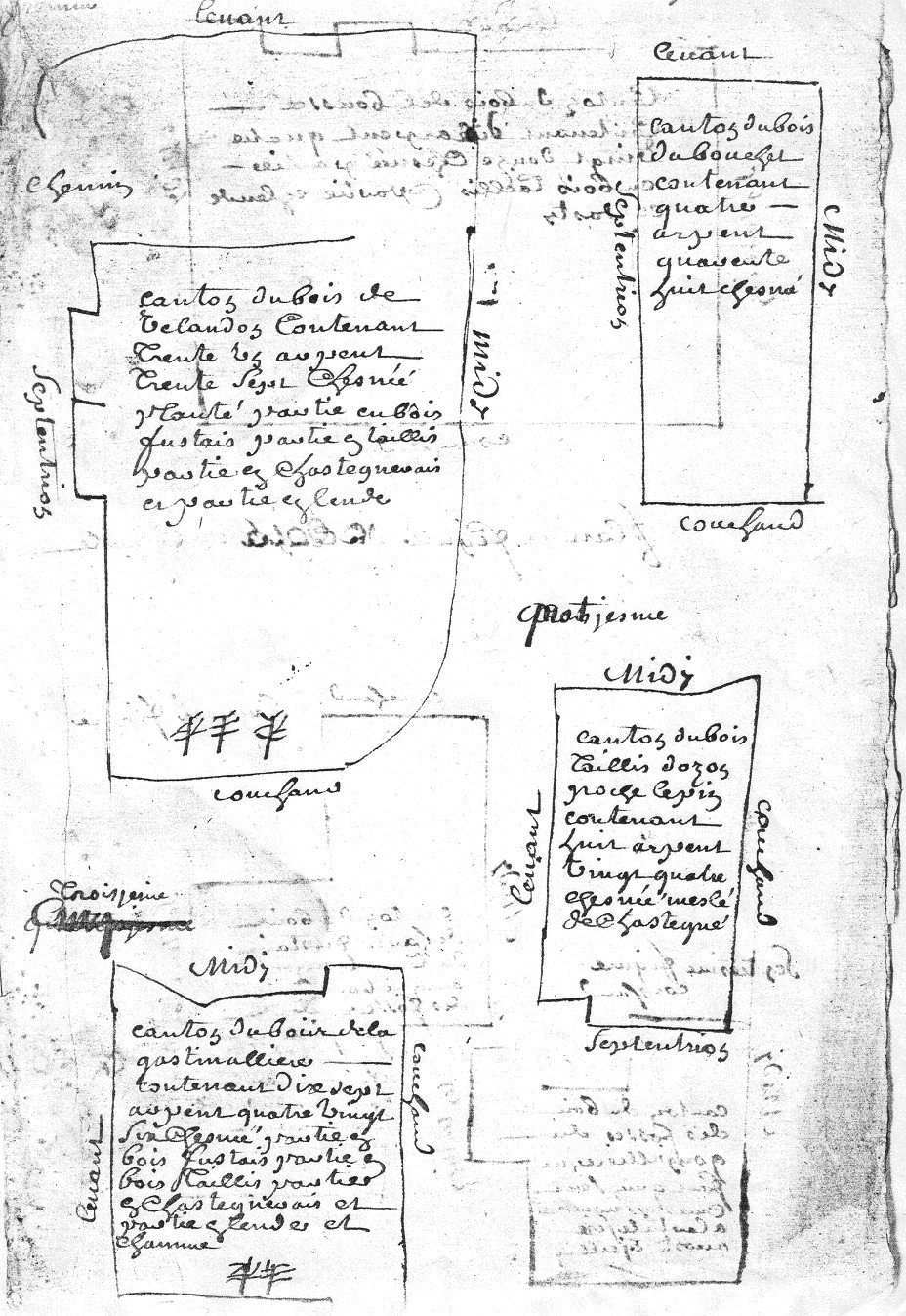 1729 - Plans des bois de la commanderie d'Auzon  - D’Allogny de la Groie Figures 1,2,3 et 4 