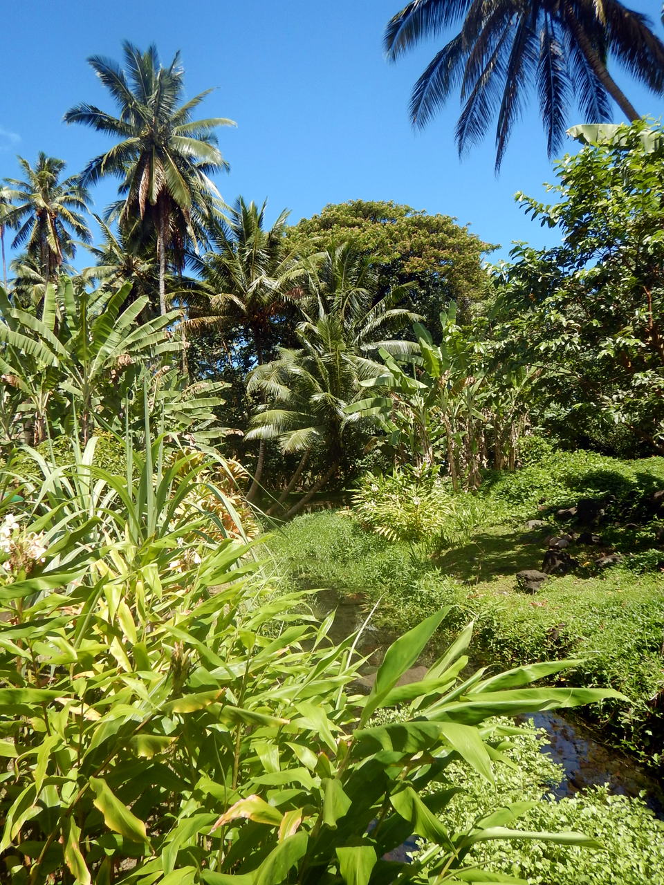 ...und ewig grüne Gartenpracht: Paradiesisch wie im "Garten von Eden!"