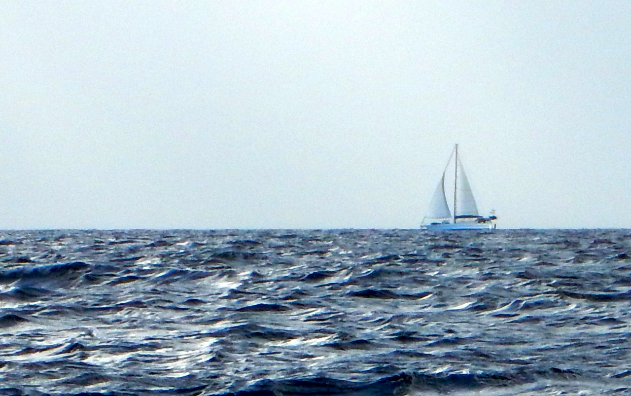 Am 19. Mai segelten wir nach dem Lunch in die nahe gelegene Bay von Hirifa. Dabei nahmen wir einen Crew-Wechsel vor, Sandra wechselte für diesen 2Stdn.-Törn auf die Robusta und Thomas auf die hier unter Segel dahinziehende KYORY.