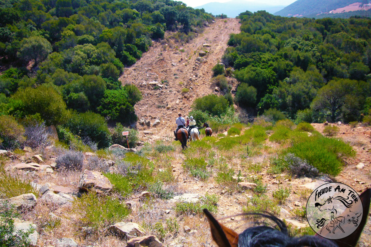 Trail in Andalusien