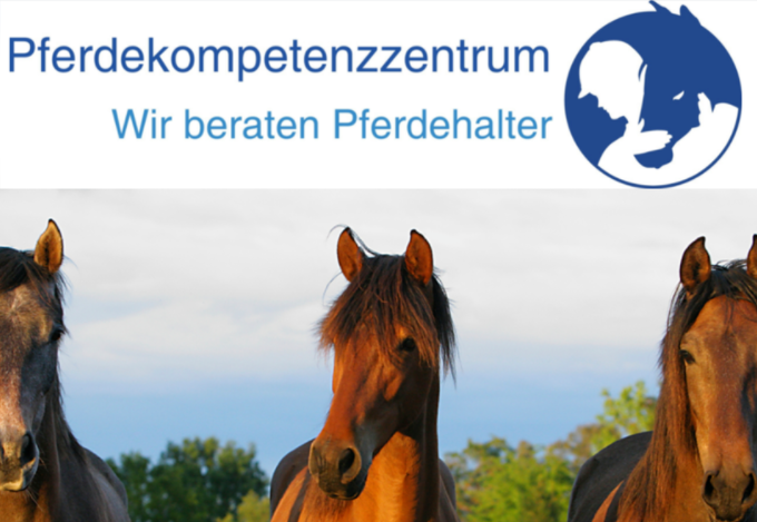 Pferdekompetenzzentrum jetzt auch auf Facebook
