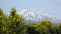 Vista dell'Etna