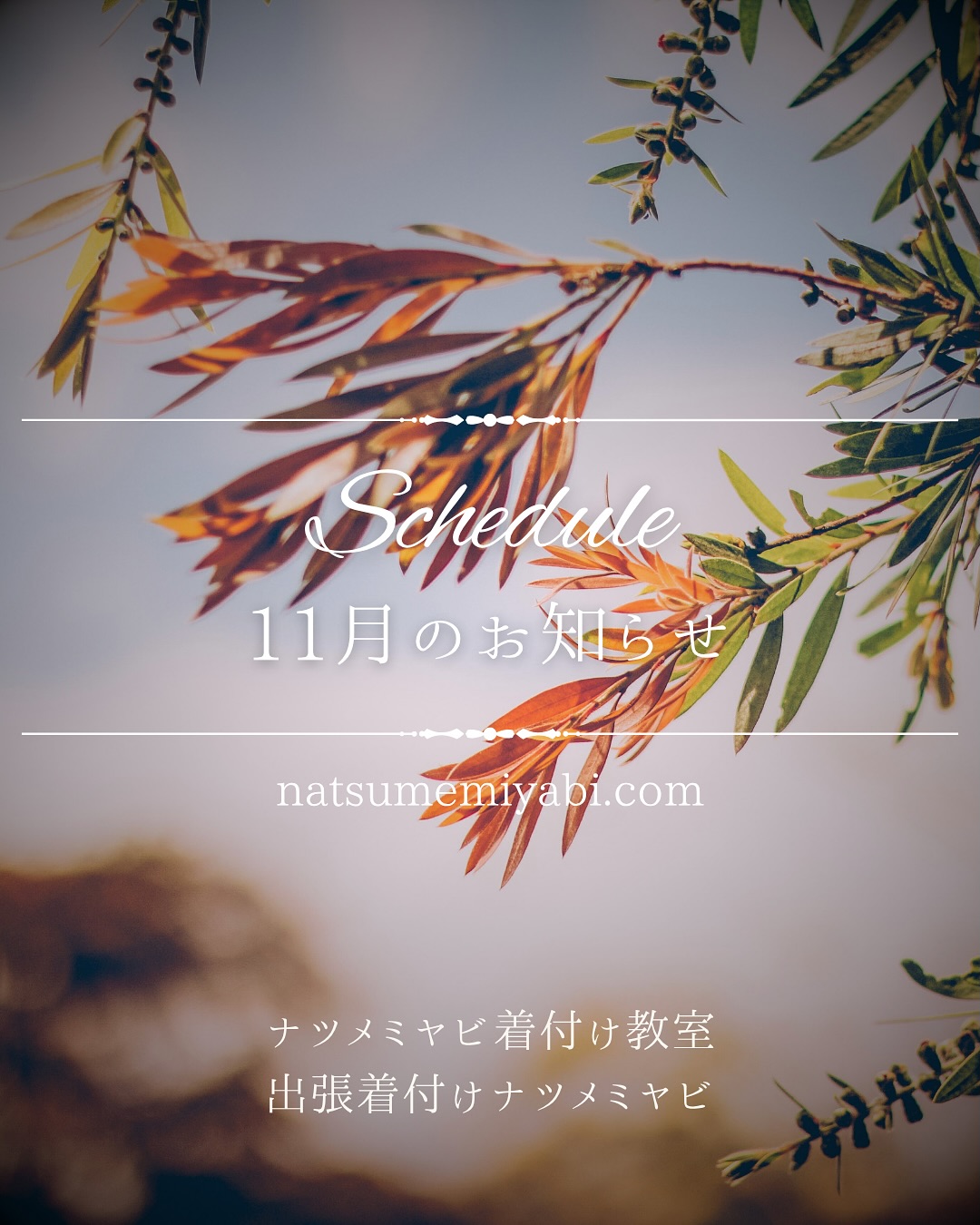 2025年11月のお知らせ