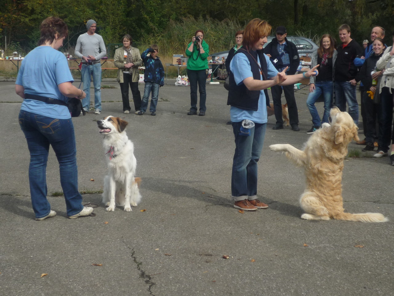 Tierheimfest am 30.09.2012 im Tierheim Hamlar Hundeschule John