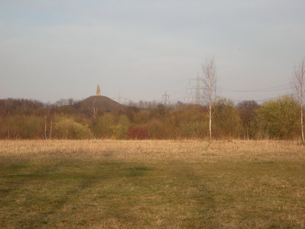 Halde Rheinelbe