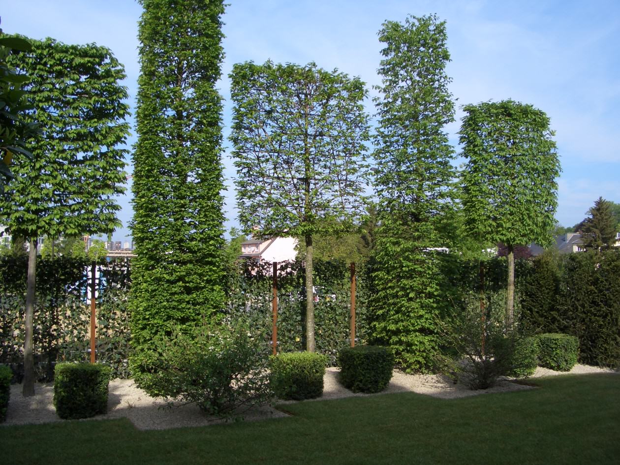 Gartenbau in Filderstadt und Stuttgart GaLaBau Gartengestaltung