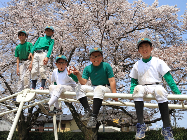 日野わかくさクラブ