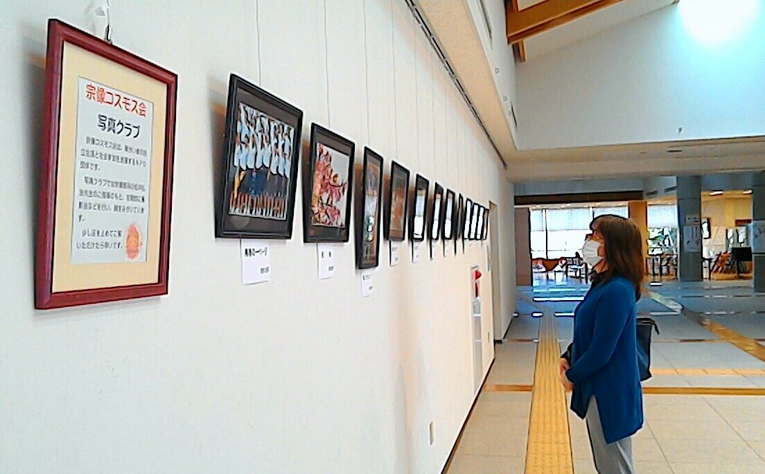 宗像コスモス会写真クラブ・写真展 開催中！！ in メイトム宗像 - NPO 