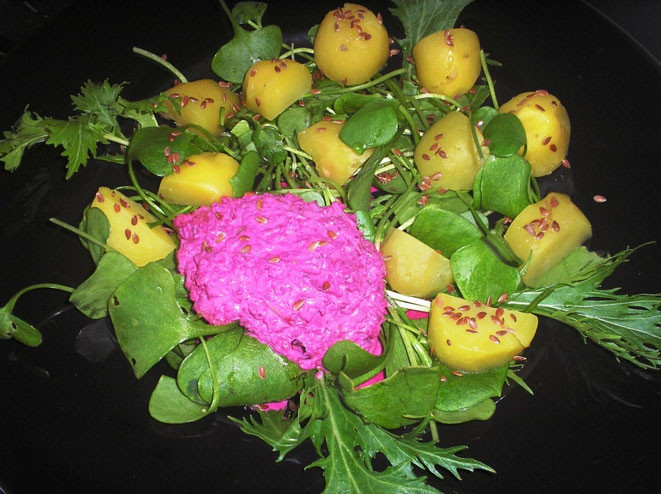 Frischer Postelein-Salat mit Leinsamenkartoffeln und Dressing aus roter Beete und Äpfeln