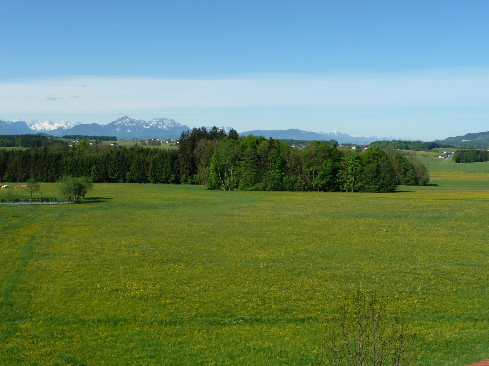 Südwest-Blick