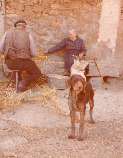 Abuelos: Pedro y Genara. F. P. Privada.