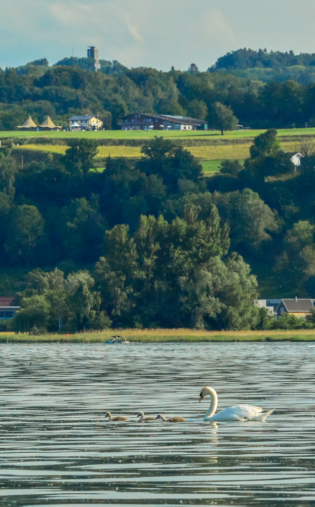 der Turm hoch über dem Zelglihof und dem Untersee