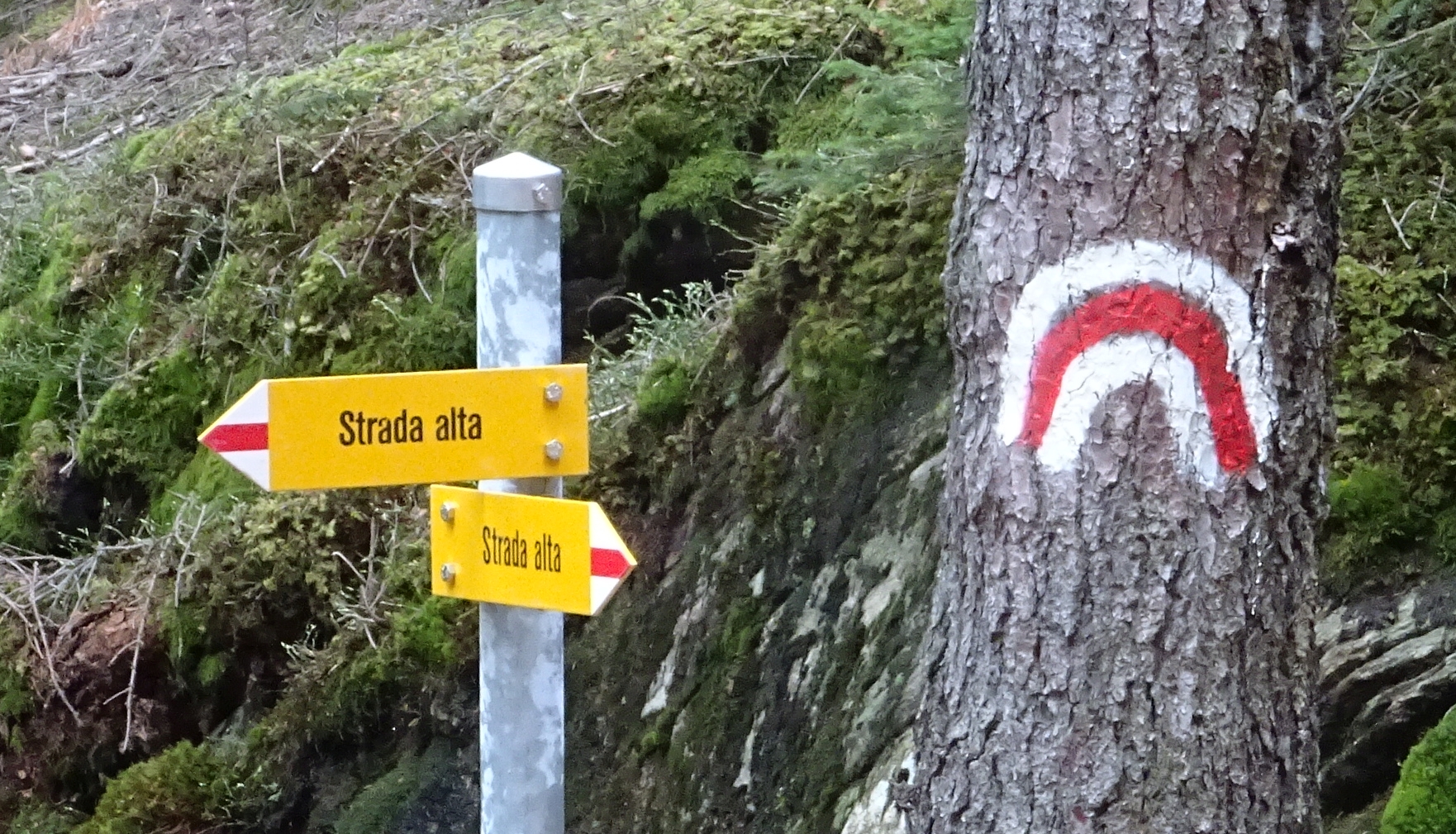 Strada alta