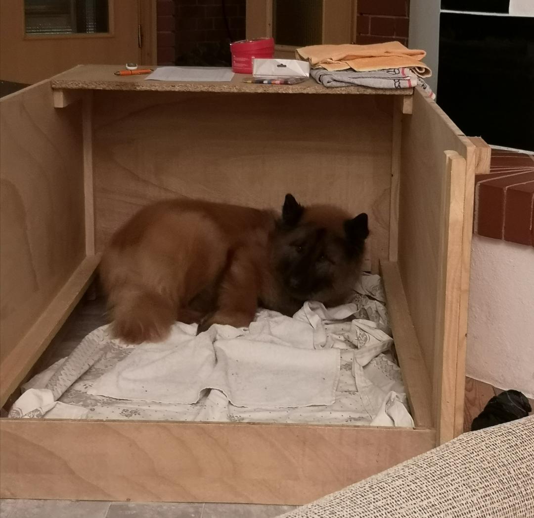 Nesterl bauen 