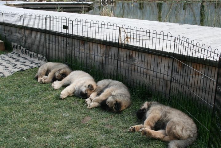 jetzt sind alle müde