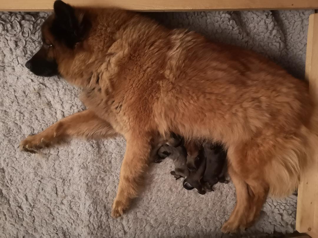 geschafft