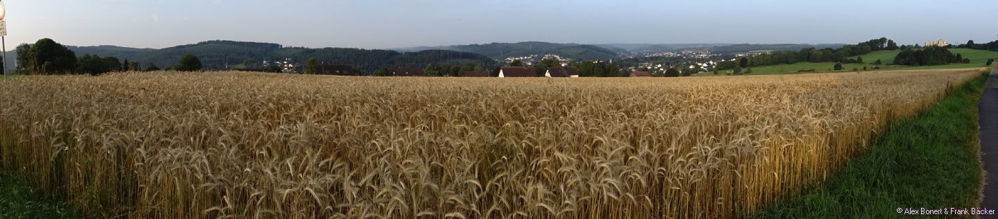 Felder bei Ferndorf, Kreuztal