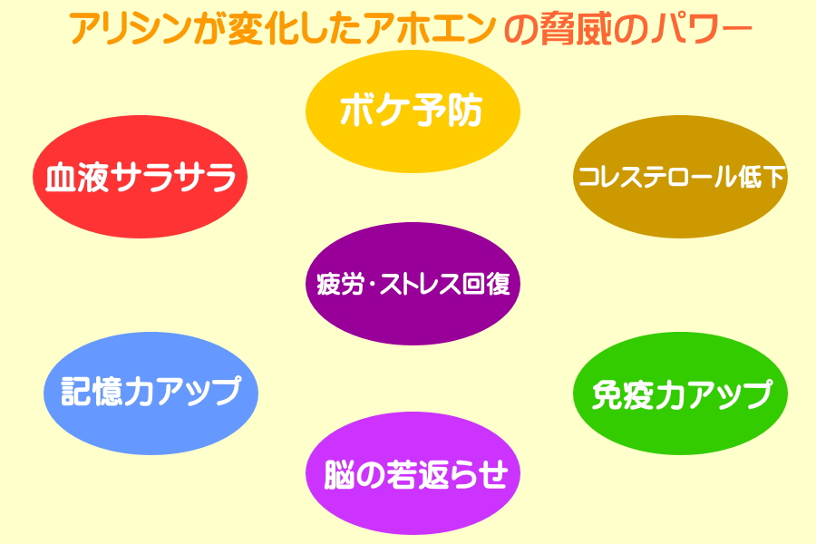 【アホエンオイル】【アホエン】【アホエン 効果】【アホエン 効果 効能】【アホエンオイルの効能】【アホエンオイルの作り方】【にんにく】【津軽 にんにく】【㈲インフィニティー】【アホエンオイル 尿酸値】