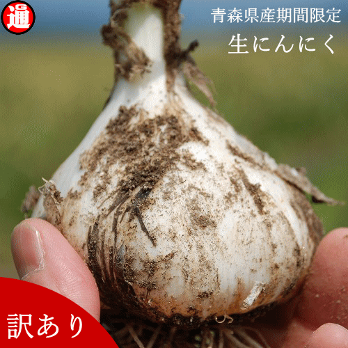 予約商品 - 有限会社 インフィニティー