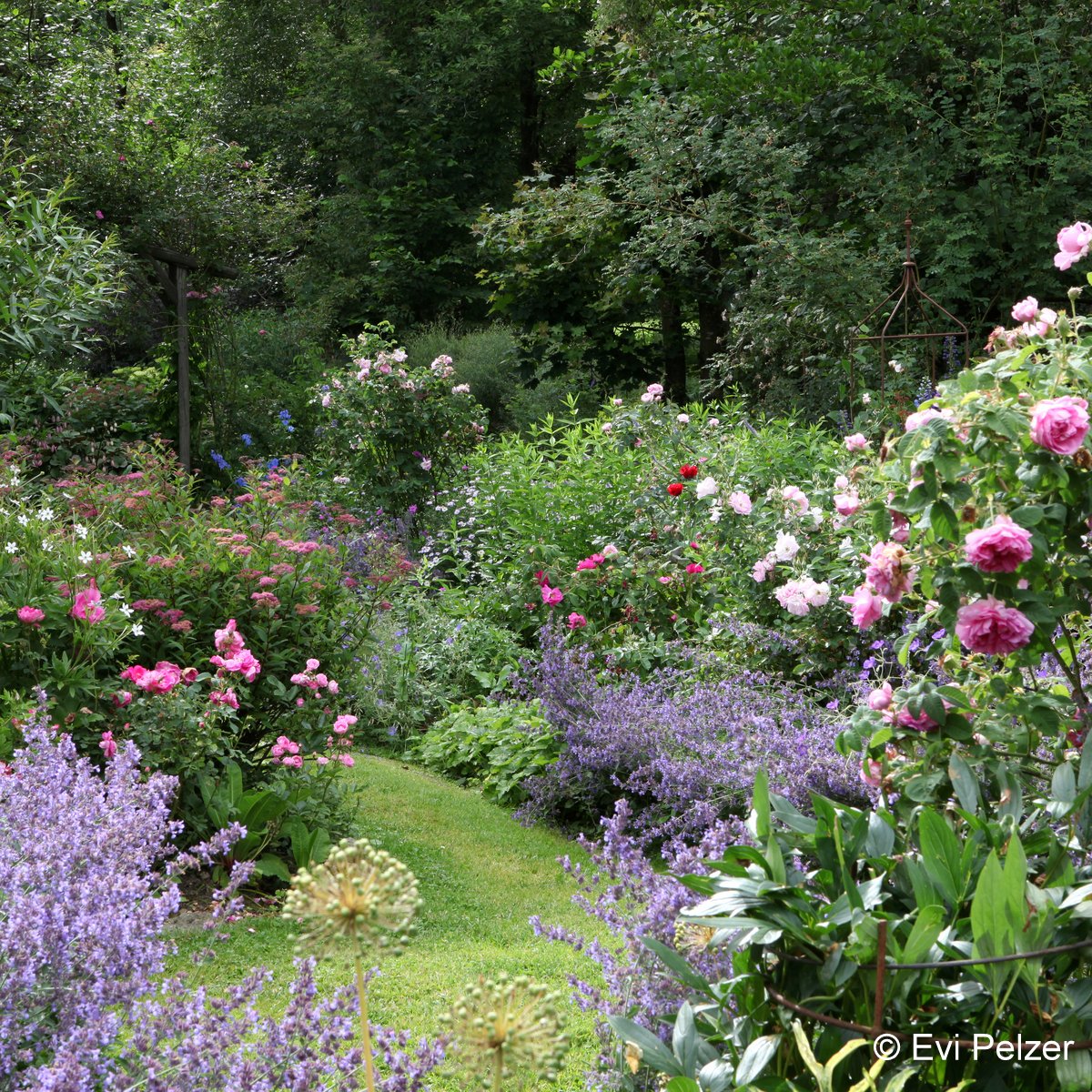 Gartenbesuch De Gartenkultur In Bayern Und Anderswo