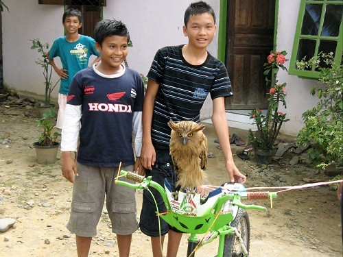 Fahrradeule auf Sumatra