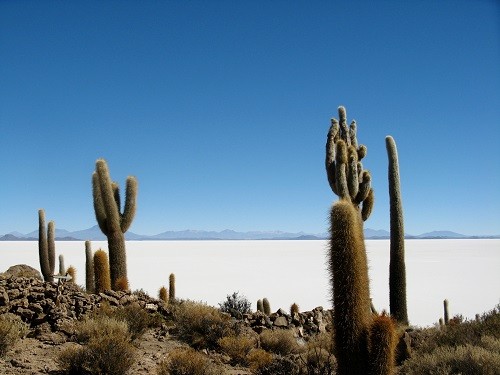 Salar de Uyuni