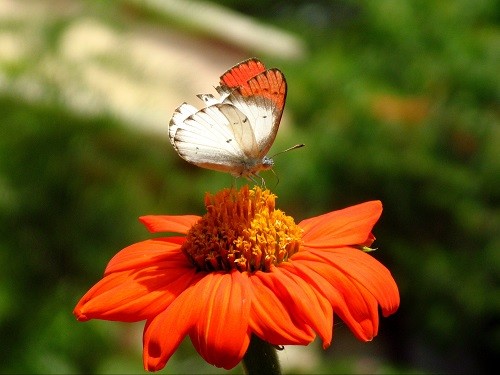 Farbe hat sich gefunden.