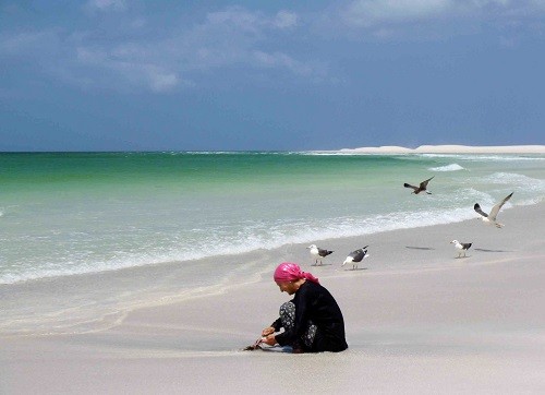 Phasen der Erholung auf Sokotra