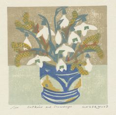 Matt Underwood: Catkins and snowdrops