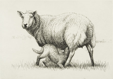 Henry Moore: sheep