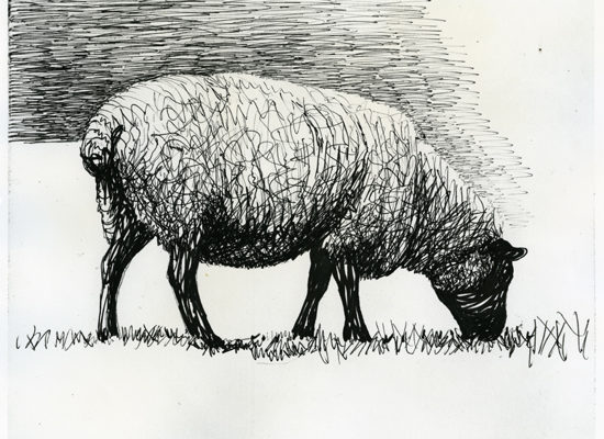 Henry Moore: sheep
