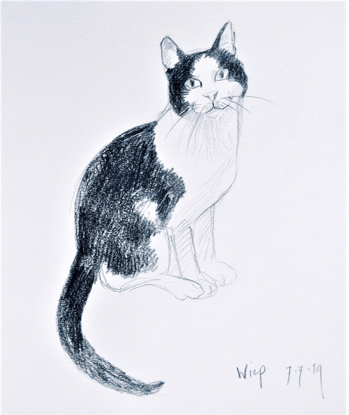Art Cats Annette Fienieg Kinderboek Illustrator En Beeldend Kunstenaar