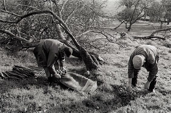 James Ravilious