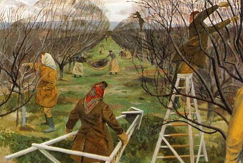 Evelyn Dunbar: Landgirls pruning