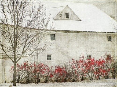 Andrew Wyeth: First snow