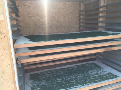 Photographie de l'intérieur du séchoir avec des clayettes