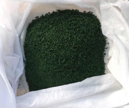 4-Brindilles ou paillettes de spiruline