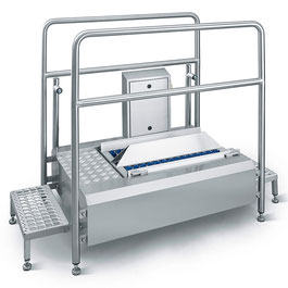 Pass-through sole cleaner ECO