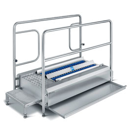 Pass-through sole cleaner ECO dry version